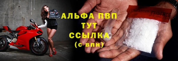 мяу мяу мука Абаза