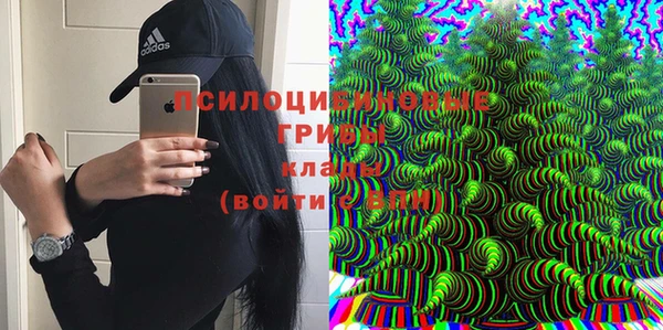стаф Абдулино