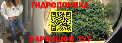прущие грибы Нягань