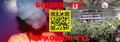 прущие грибы Нягань