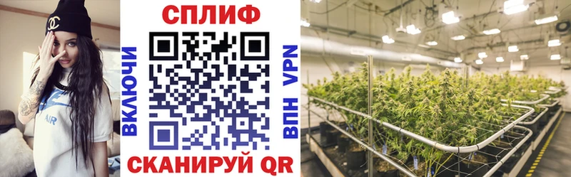 ОМГ ОМГ ссылка  Ялуторовск  Каннабис White Widow  где продают  